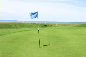 Golf de la presqu'ile du Cotentin