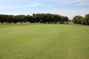 Trou 14 - Golf de la presqu'ile du Cotentin